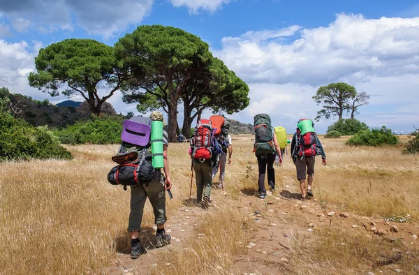Çam ağaçları altında solmuş çimenlerin üzerinde turist ile sırt çantaları vardır
