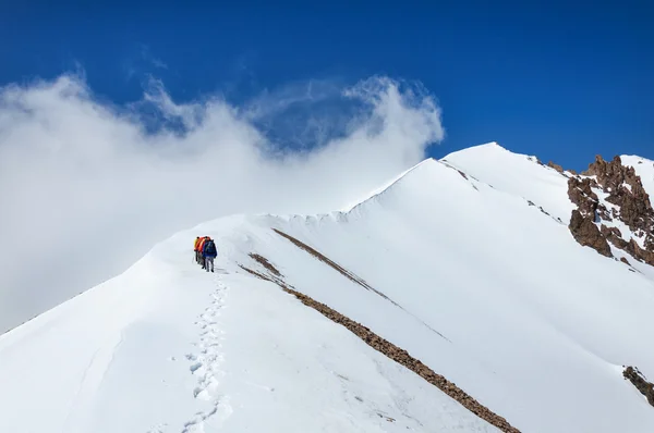 Grup dağcı Erciyes Volkanı tepesinden aşağı gider. — Stok fotoğraf