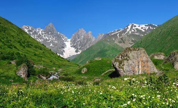 Summer landscape with big stones and mountain snow. — Stock Photo, Image