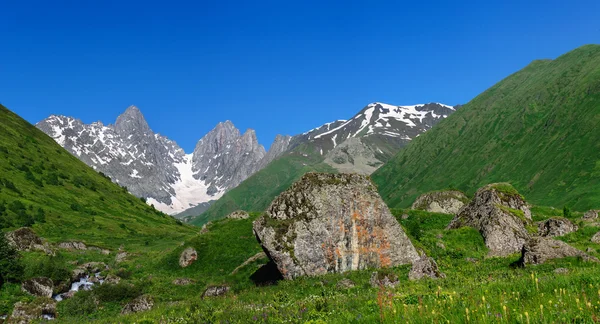 Sommarlandskap med stora stenar och berg snö. — Stockfoto