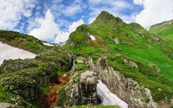 Nyári hegyi táj, a kanyon és a rhododendron — Stock Fotó