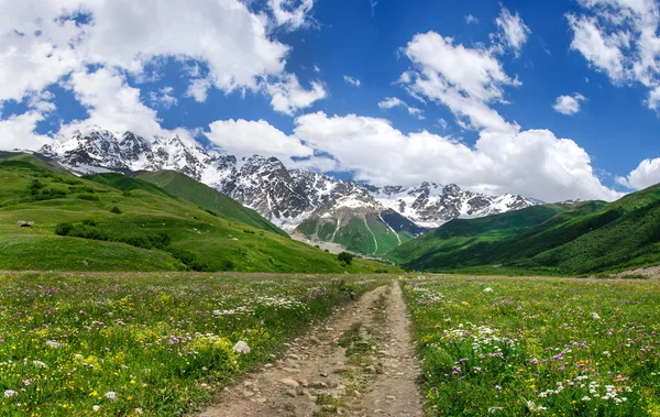 Schöne Schotterpiste durch Blumenfeld zum Gletscher Shchara. — Stockfoto