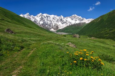 Kafkasya olan dağ, yaz yatay