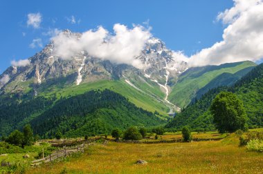 Alpine meadows dibinde Mt. dır mavi gökyüzü ile muhteşem manzarası.