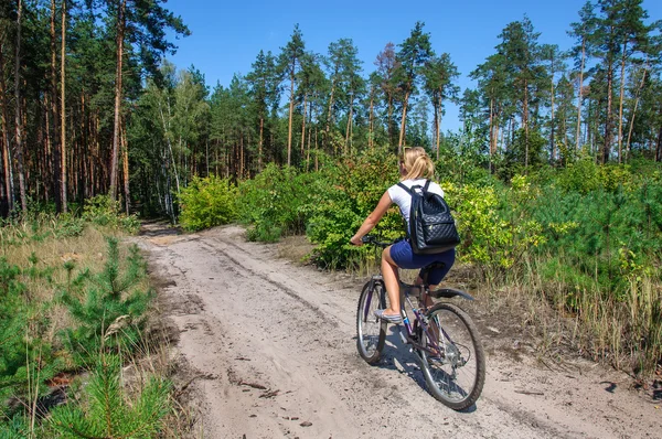 Ciclista practicando bicicleta de montaña en un sendero forestal . — Foto de Stock