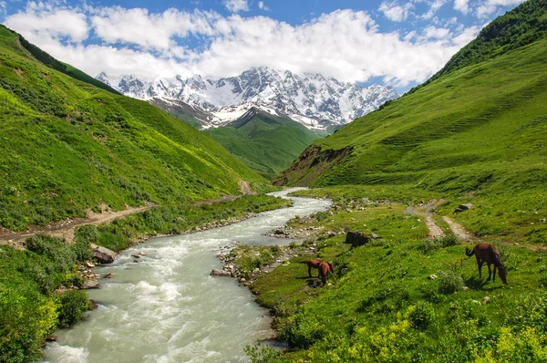 Paisagem de verão com neve de rio e montanha . — Fotografia de Stock