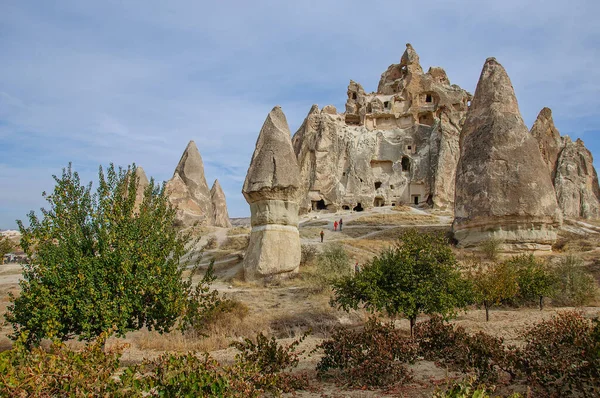 Yellow Autumn Tree Background Cappadocian Landscapes Turkey — Stock Photo, Image