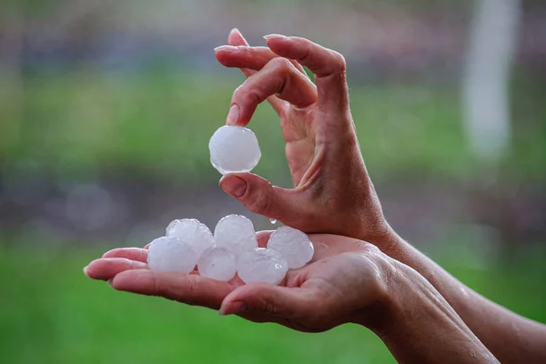 Large Hailstones Women Palms Spring — Stock Photo, Image