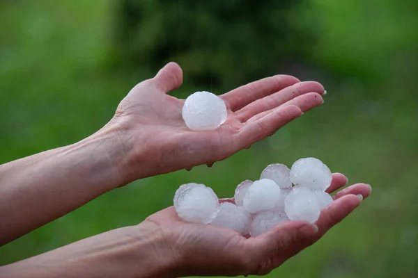 Large Hailstones Women Palms Spring — Stock Photo, Image