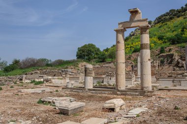 Efes şehrinde hindi sütunları olan antik antika bir yapı.