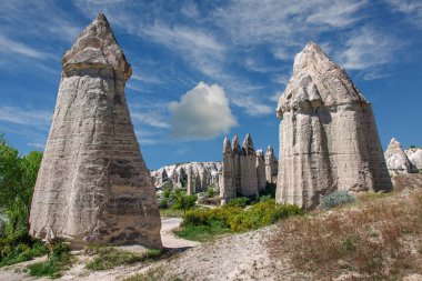 Beautiful view of the valley in Cappadocia with stone mushrooms. Turkey