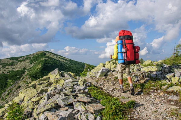 Male Tourist Large Backpack Climbs Mountain Stone Path High Carpathian — Stock Photo, Image