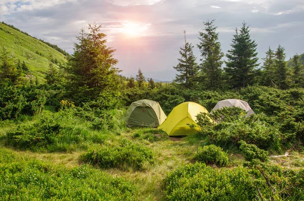 Campement Tente Dans Forêt Dans Les Montagnes Des Carpates Sur — Photo