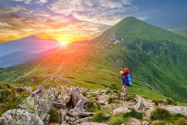 Tourist Large Backpacks Walks Hoverla Highest Mountain Ukrainian Carpathian Mountains — Stock Photo, Image