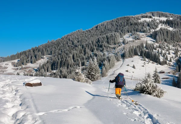 Skiër stijgt omhoog — Stockfoto