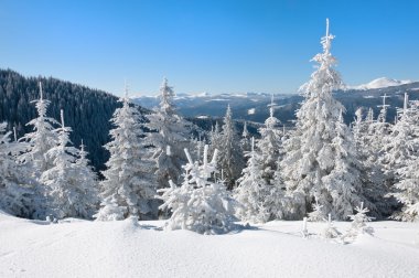 Kış güneş manzara dağ orman