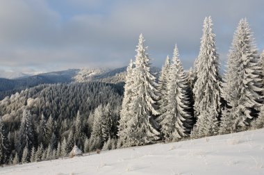 Kış güneş manzara dağ orman