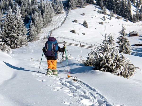 Лыжники поднимаются в гору — стоковое фото
