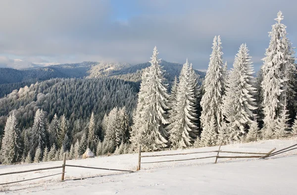 Paisagem de sol de inverno em uma floresta montesa — Fotografia de Stock