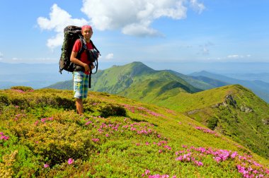 Çiçek alan dağda yürüyüş trekker