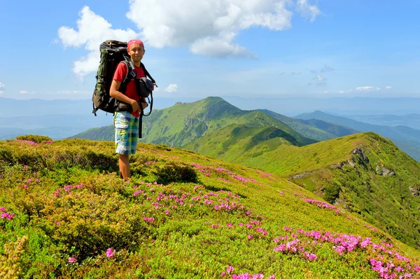 Wanderer zu Fuß Blumen Feld in den Bergen — Stockfoto