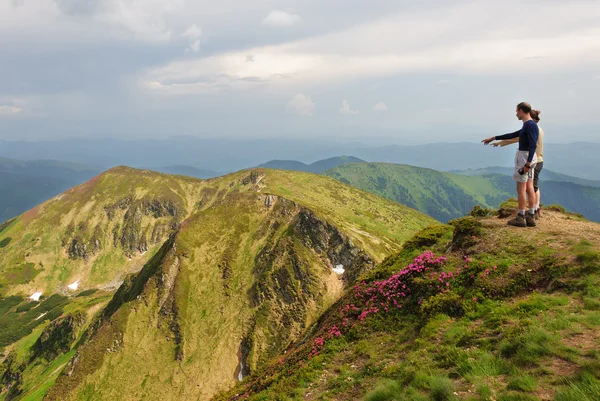 Trekker caminhando campo de flores na montanha — Fotografia de Stock