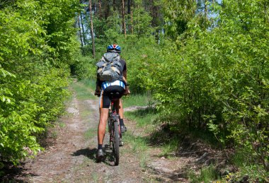 dağ bisikleti bir orman iz üzerinde pratik bisikletçi. 