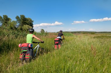 Group of cyclists on mountain bike rides through the tall grass