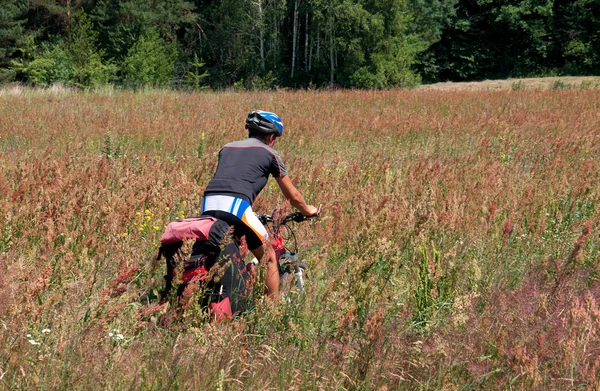 Active man on a mountain bike rides through the tall grass — Stock Photo, Image