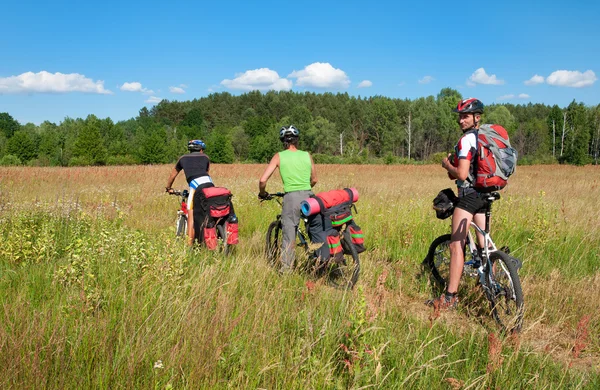 Grupo de ciclistas en bicicleta de montaña pasea a través de la hierba alta — Foto de Stock