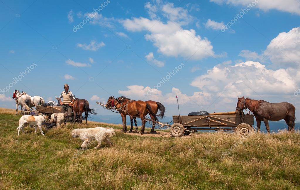 Travelling Gypsy camp with horse and wagon — Stock Photo © tns2710