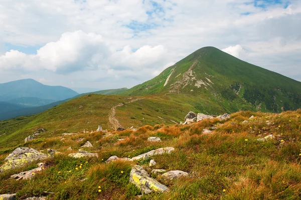 Гора Говерла в Україні Карпатських гір — стокове фото