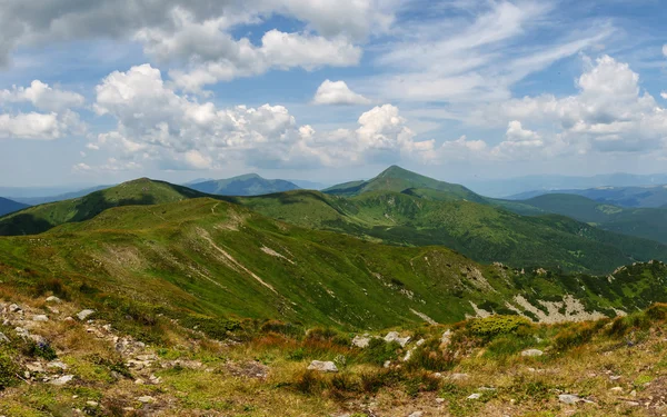 Beautiful green mountain landscape in Carpathians — Stock Photo, Image