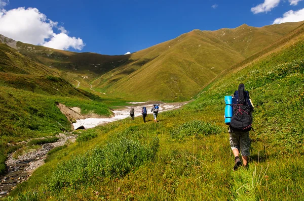 Group of tourists with large backpacks are on mountain — Stock Photo, Image