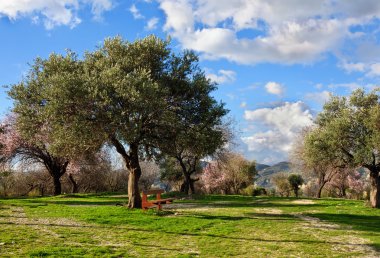 Olive Garden'a kahverengi tezgah ile