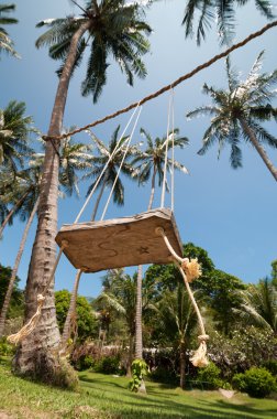 Palm salıncak. Tropikal ödül. Tropik cennet.
