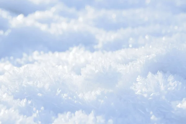 Hoarfrost Achtergrond Textuur Vers Ijs Sneeuw Winter Achtergrond Met Sneeuwvlokken Rechtenvrije Stockafbeeldingen