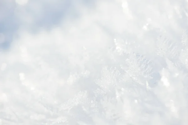 Hoarfrost Textura Fondo Fondo Invierno Hielo Fresco Nieve Con Copos — Foto de Stock