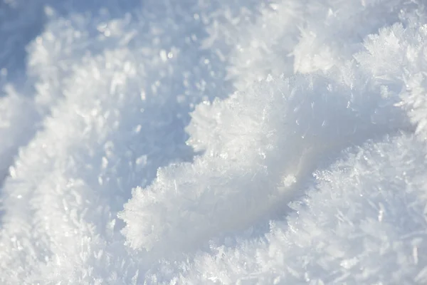 Hoarfrost Bakgrund Struktur Färsk Och Snö Vinter Bakgrund Med Snöflingor — Stockfoto