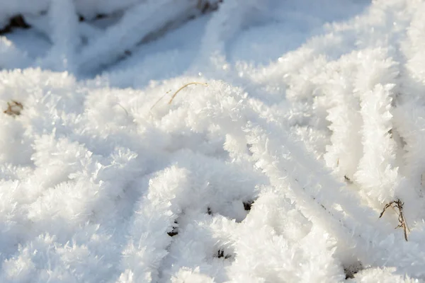 Hoarfrost Bakgrund Struktur Färsk Och Snö Vinter Bakgrund Med Snöflingor — Stockfoto