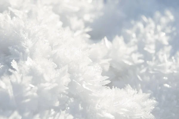 Hoarfrost Textura Fundo Gelo Fresco Neve Pano Fundo Inverno Com — Fotografia de Stock