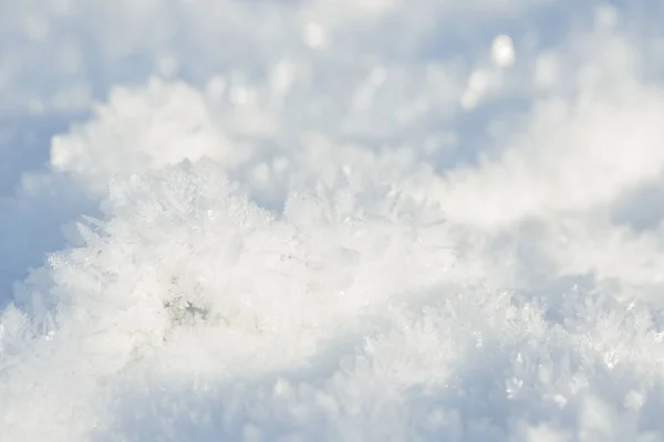 Hoarfrost Bakgrund Struktur Färsk Och Snö Vinter Bakgrund Med Snöflingor — Stockfoto