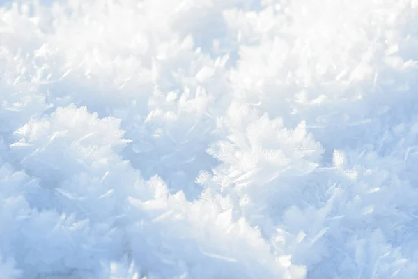 Hoarfrost Achtergrond Textuur Vers Ijs Sneeuw Winter Achtergrond Met Sneeuwvlokken — Stockfoto