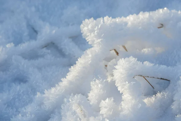 Hoarfrost Bakgrund Struktur Färsk Och Snö Vinter Bakgrund Med Snöflingor — Stockfoto