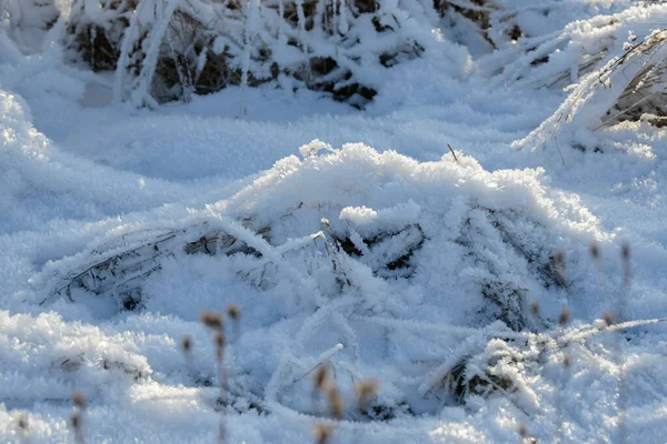 Hoarfrost Bakgrund Struktur Färsk Och Snö Vinter Bakgrund Med Snöflingor — Stockfoto