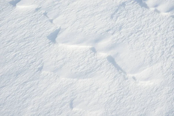 Fresh Snow Background Texture Winter Background Snowflakes Snow Mounds Snow — Stock Photo, Image