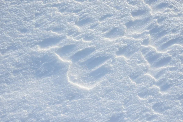 Fresh clean white snow background texture. Winter background with snowflakes and snow mounds. Snow lumps. Seasonal landscape details.