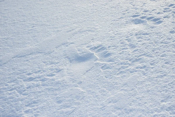 Fresh clean white snow background texture. Winter background with snowflakes and snow mounds. Snow lumps. Seasonal landscape details.