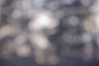 Güzel, yumuşak, kaymak gibi orman arka planı. Dağılmış vahşi doğa duvar kâğıdı. Gökyüzünün bulanık doğal görüntüsü ve güneş ışığıyla renklendirilmiş ağaçlar..