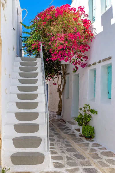 Traditionell Cykladitisk Gränd Med Smal Gata Vitkalkade Hus Och Blommande — Stockfoto